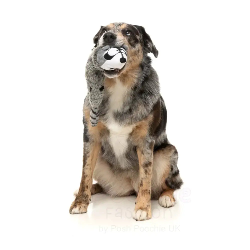 Run Along Raccoon - the Yeetz - Dog Toy by Fuzzyard - Fuzzyard - 2