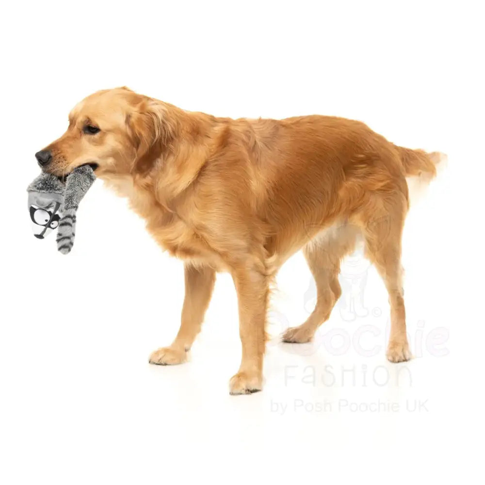 Run Along Raccoon - the Yeetz - Dog Toy by Fuzzyard - Fuzzyard - 4