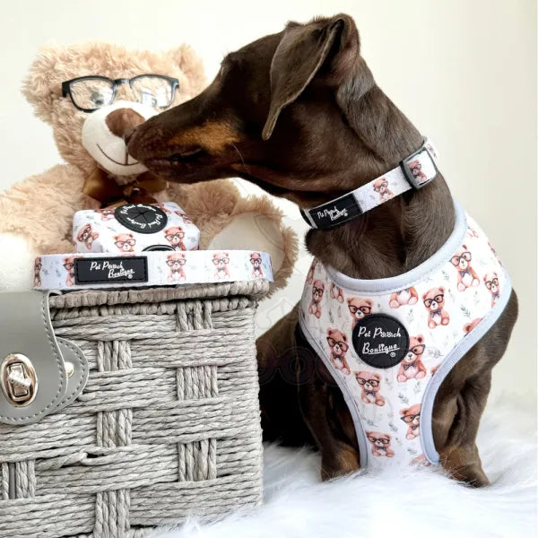 Rusty Bear Dog Lead - Pet Pooch - 2