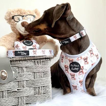 Rusty Bear Dog Lead - Pet Pooch - 2