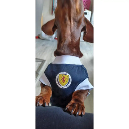Scotland Football Team Personalised Dog T-shirt - Sale - 9