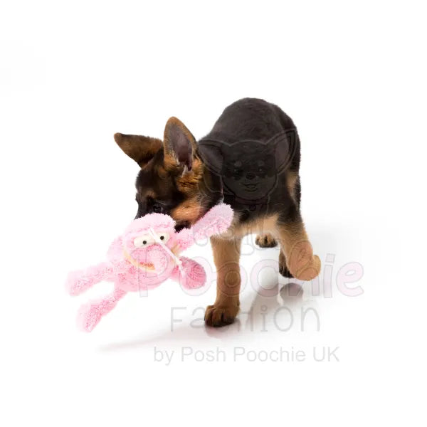 Scratchette the Pink Flea Plush Dog Toy by Fuzzyard - Fuzzyard - 2