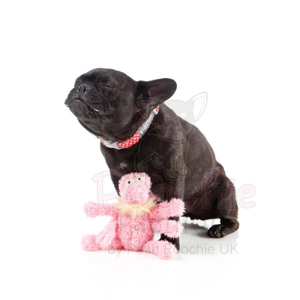 Scratchette the Pink Flea Plush Dog Toy by Fuzzyard - Fuzzyard - 4