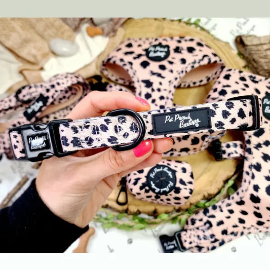 Scruffy Dots Dog Collar - Pet Pooch - 1