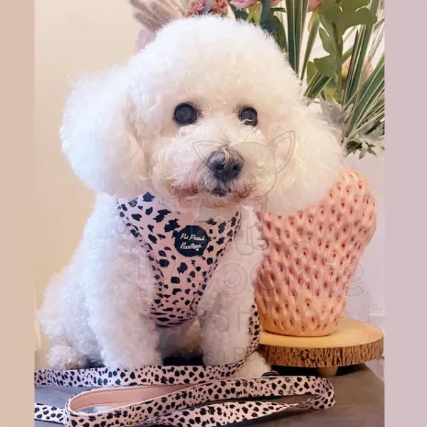 Scruffy Dots Dog Harness - Pet Pooch - 3