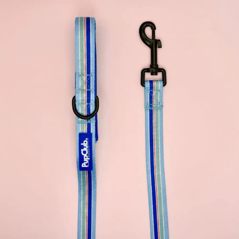 Sea Breeze Stripes Dog Lead - Pupclub Couture - 1