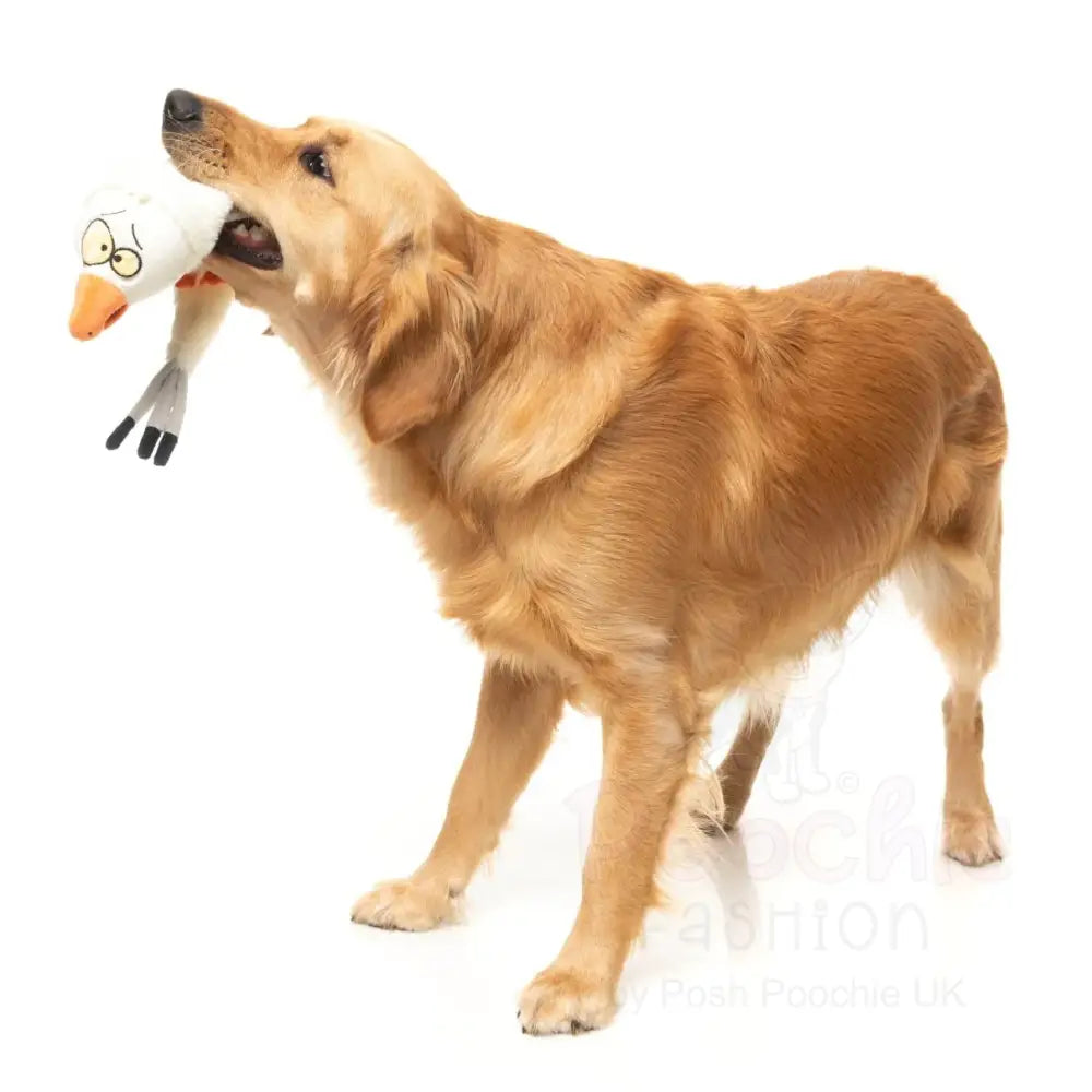 See-ya Seagull - the Yeetz - Dog Toy by Fuzzyard - Fuzzyard - 5