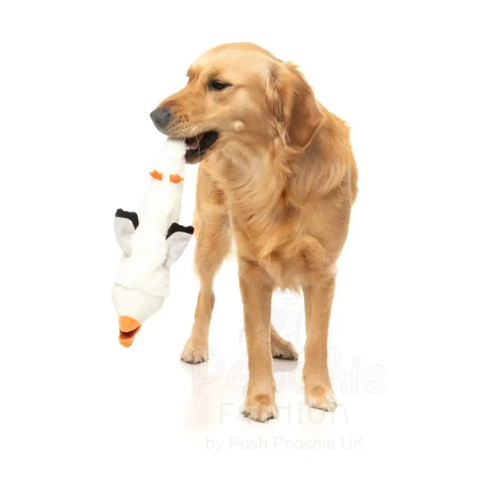 See-ya Seagull - the Yeetz - Dog Toy by Fuzzyard - Fuzzyard - 4