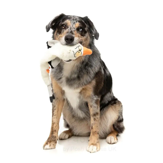 See-ya Seagull - the Yeetz - Dog Toy by Fuzzyard - Fuzzyard - 2