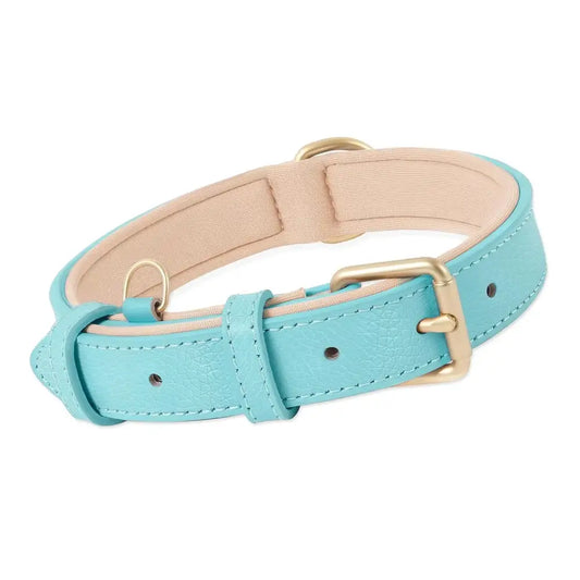 Siena Soft Genuine Leather Dog Collar in Aqua Blue - Posh Pawz - 1