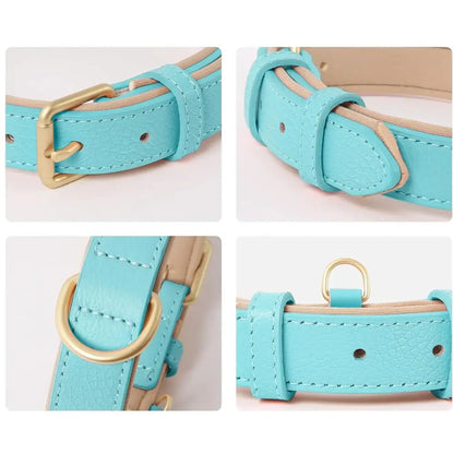 Siena Soft Genuine Leather Dog Collar in Aqua Blue - Posh Pawz - 3