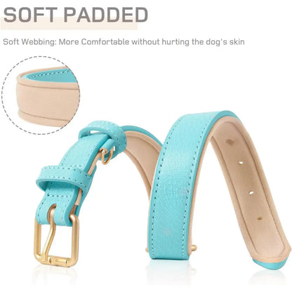 Siena Soft Genuine Leather Dog Collar in Aqua Blue - Posh Pawz - 4