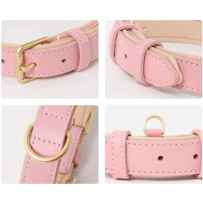Siena Soft Genuine Leather Dog Collar in Baby Pink - Posh Pawz - 3