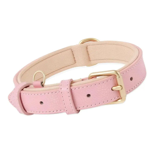 Siena Soft Genuine Leather Dog Collar in Baby Pink - Posh Pawz - 1