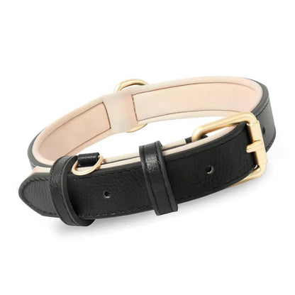 Siena Soft Genuine Leather Dog Collar in Black - Posh Pawz - 1