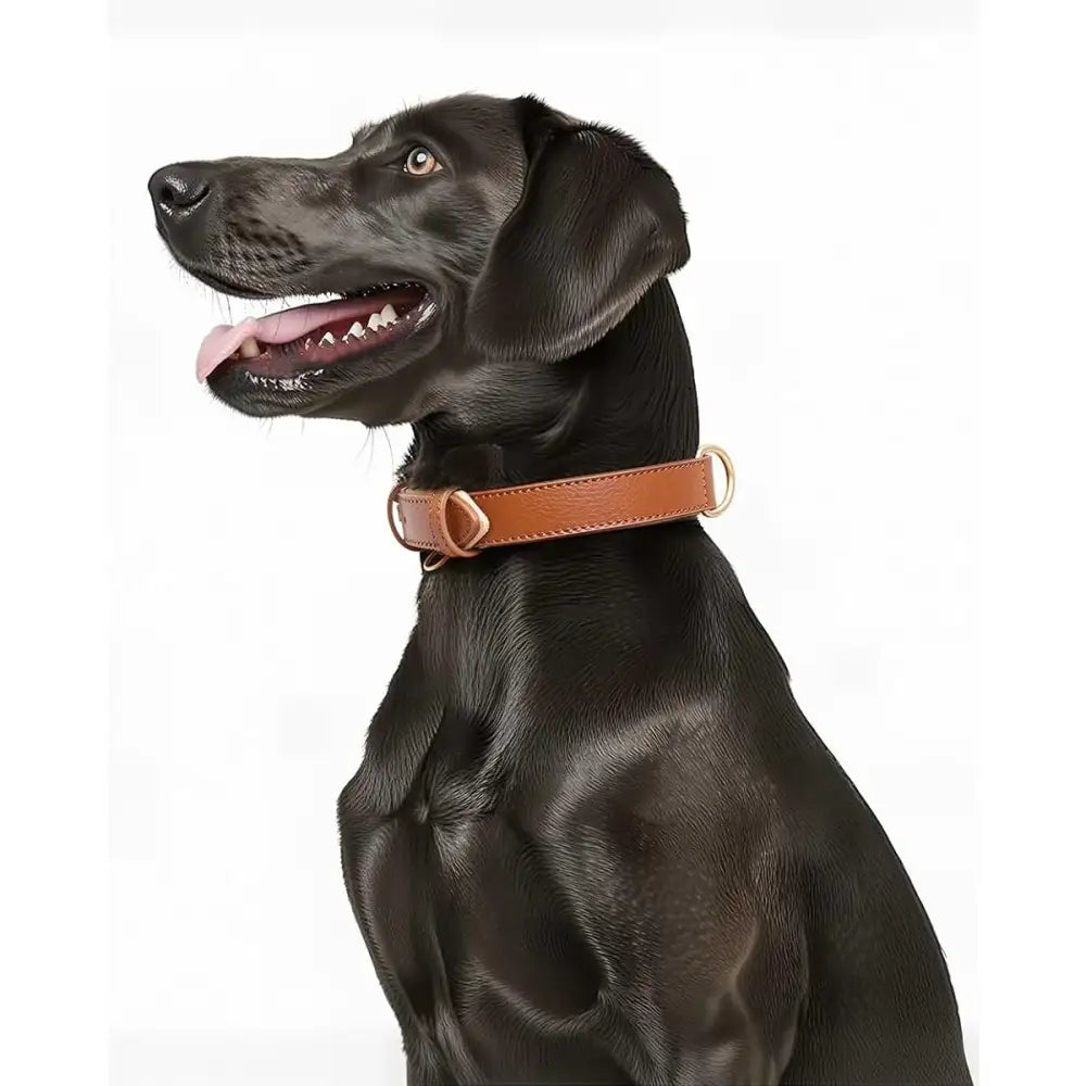 Siena Soft Genuine Leather Dog Collar in Brown - Posh Pawz - 5