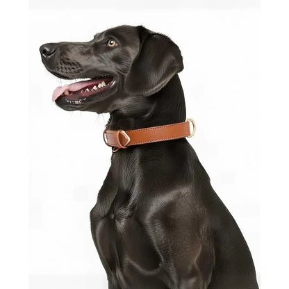 Siena Soft Genuine Leather Dog Collar in Brown - Posh Pawz - 5
