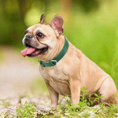 Siena Soft Genuine Leather Dog Collar in Green - Posh Pawz - 5