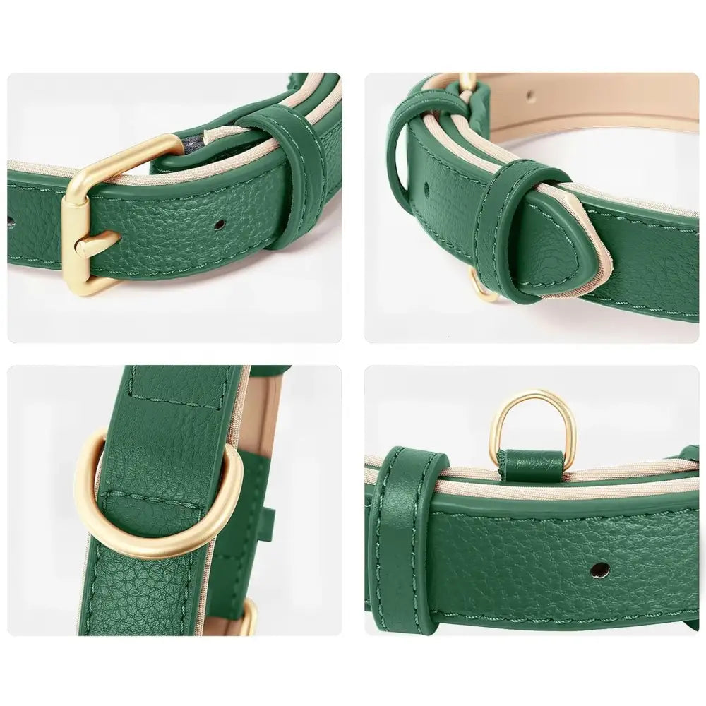 Siena Soft Genuine Leather Dog Collar in Green - Posh Pawz - 3