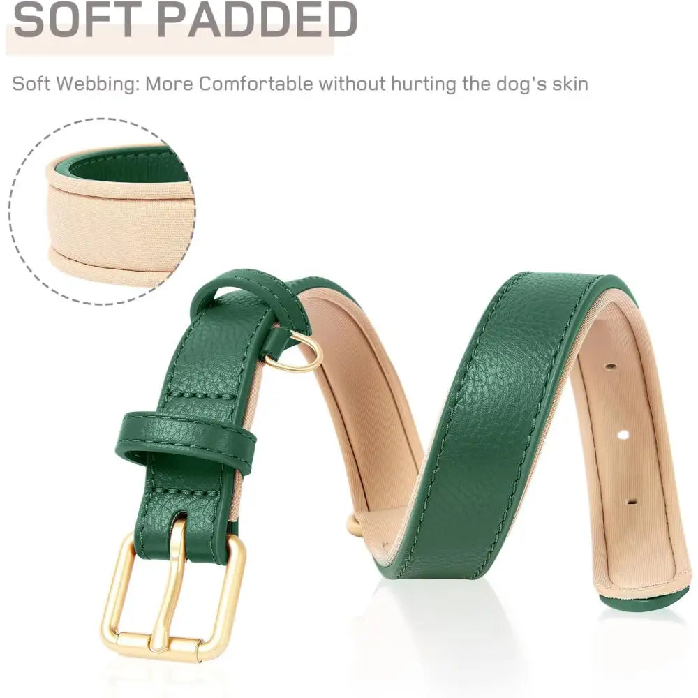 Siena Soft Genuine Leather Dog Collar in Green - Posh Pawz - 4