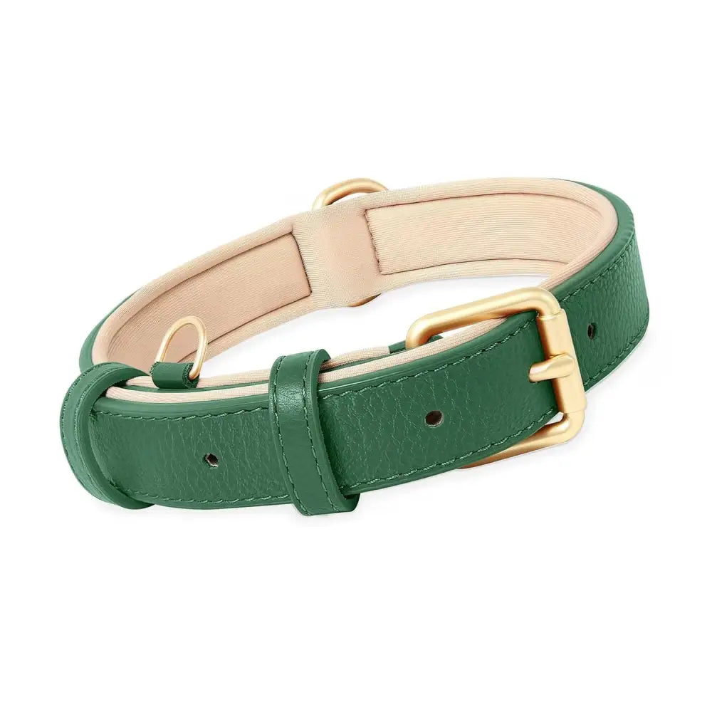 Siena Soft Genuine Leather Dog Collar in Green - Posh Pawz - 1