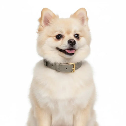 Siena Soft Genuine Leather Dog Collar in Grey - Posh Pawz - 2