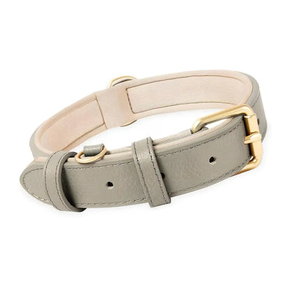Siena Soft Genuine Leather Dog Collar in Grey - Posh Pawz - 1