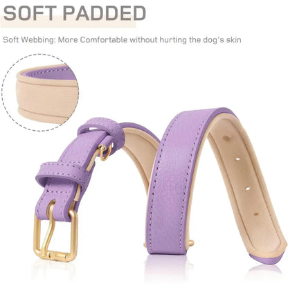 Siena Soft Genuine Leather Dog Collar in Lilac - Posh Pawz - 4
