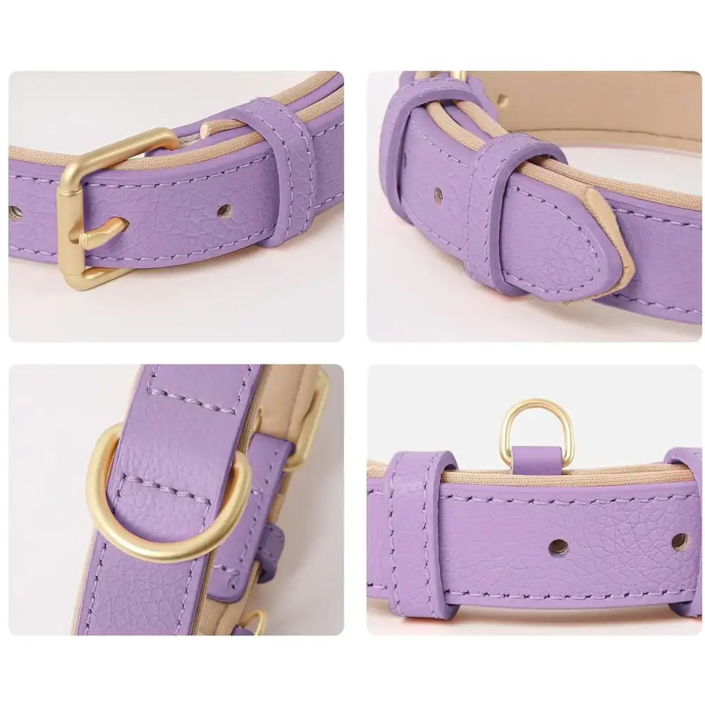 Siena Soft Genuine Leather Dog Collar in Lilac - Posh Pawz - 3
