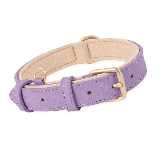 Siena Soft Genuine Leather Dog Collar in Lilac - Posh Pawz - 1