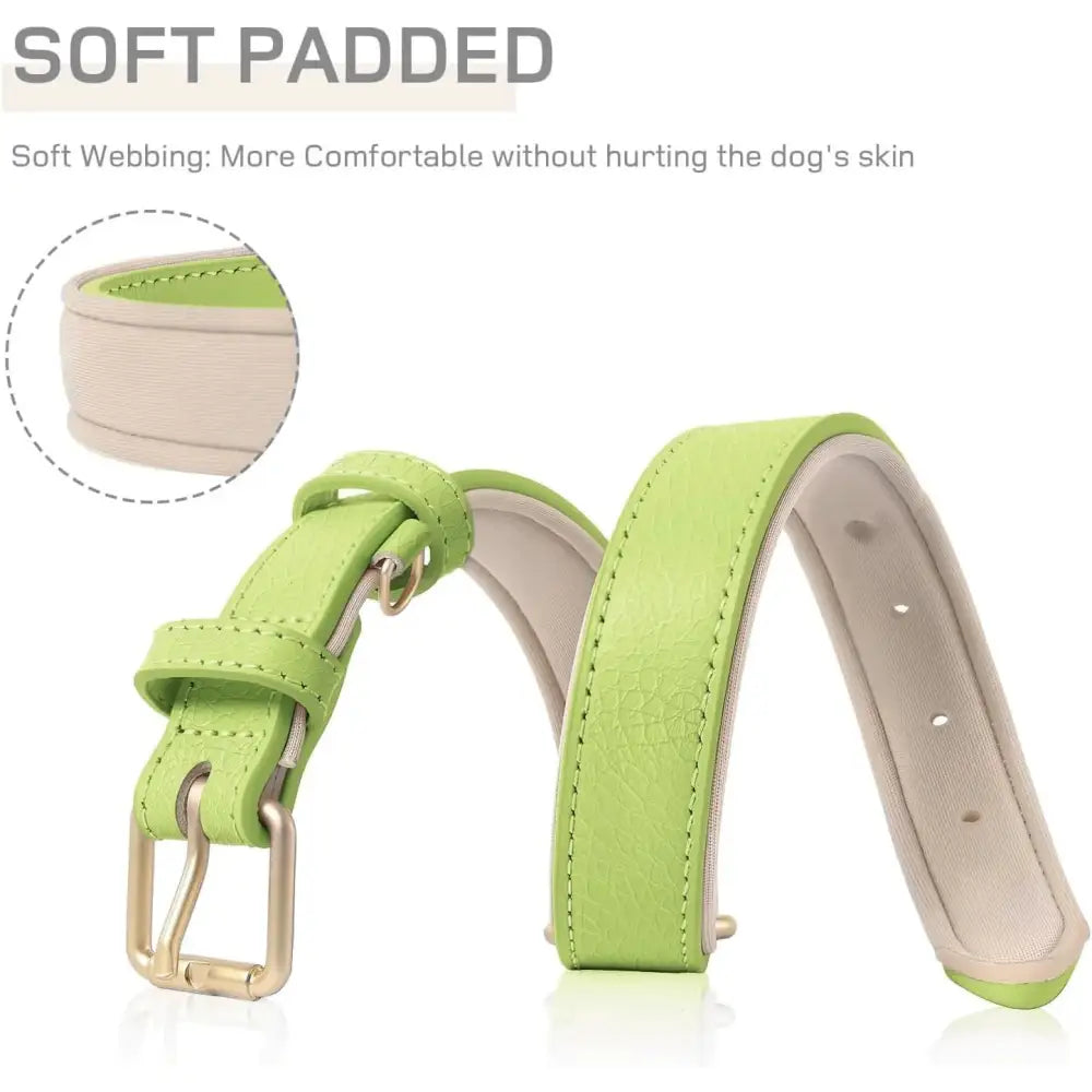 Siena Soft Genuine Leather Dog Collar in Lime - Posh Pawz - 4
