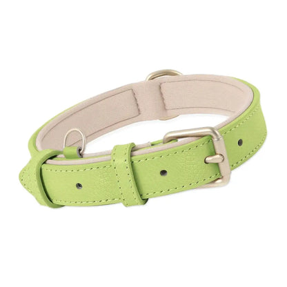 Siena Soft Genuine Leather Dog Collar in Lime - Posh Pawz - 1