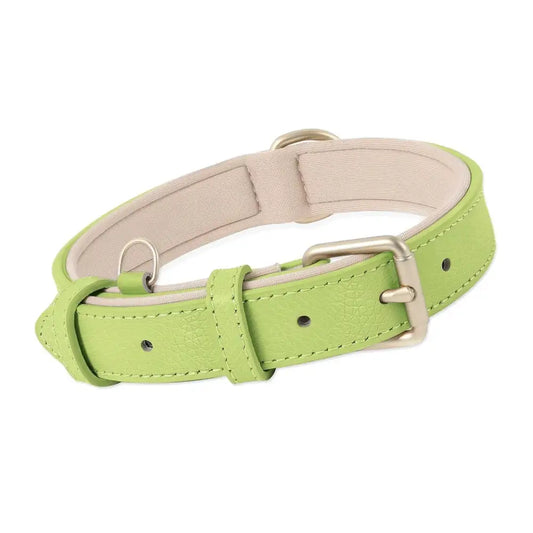 Siena Soft Genuine Leather Dog Collar in Lime - Posh Pawz - 1