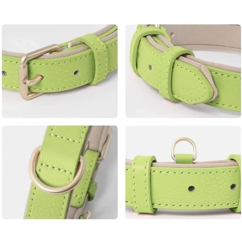 Siena Soft Genuine Leather Dog Collar in Lime - Posh Pawz - 3