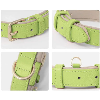Siena Soft Genuine Leather Dog Collar in Lime - Posh Pawz - 3