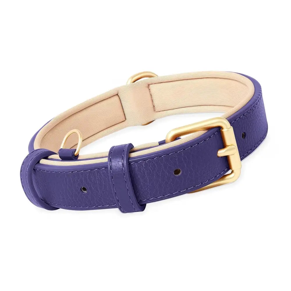 Siena Soft Genuine Leather Dog Collar in Purple - Posh Pawz - 1