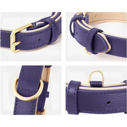 Siena Soft Genuine Leather Dog Collar in Purple - Posh Pawz - 3