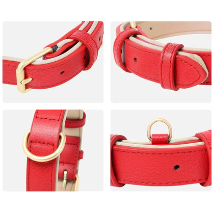 Siena Soft Genuine Leather Dog Collar in Red - Posh Pawz - 3