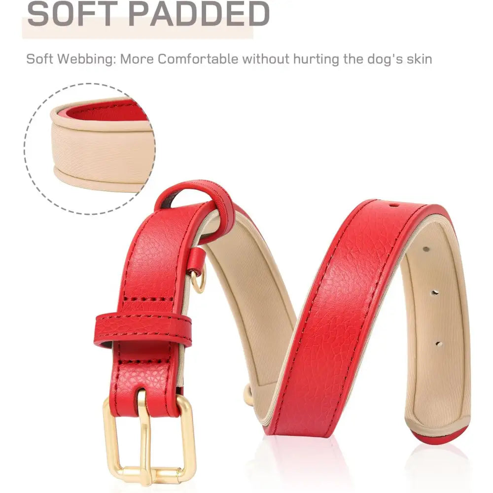 Siena Soft Genuine Leather Dog Collar in Red - Posh Pawz - 4