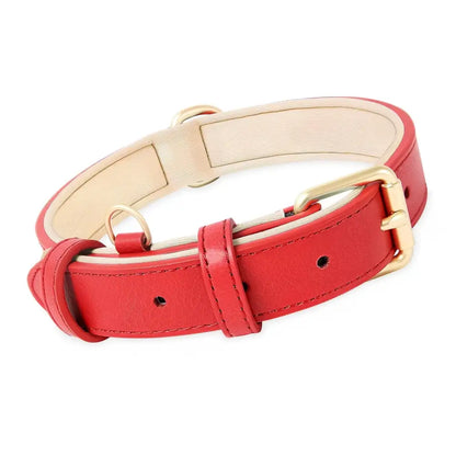 Siena Soft Genuine Leather Dog Collar in Red - Posh Pawz - 1