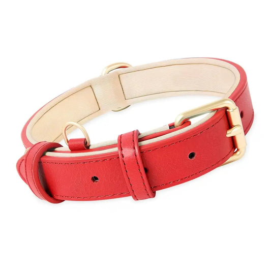 Siena Soft Genuine Leather Dog Collar in Red - Posh Pawz - 1