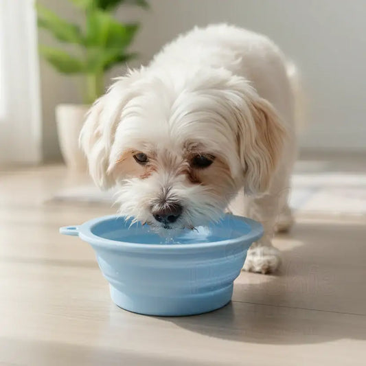 Silicone Collapsible Travel Bowl with Lick Pad in Baby Blue - Posh Pawz - 2