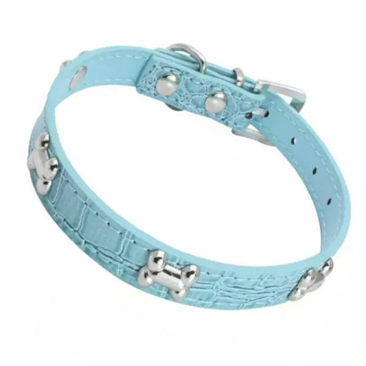 Silver Bones Puppy Dog Collar in Baby Blue - Posh Pawz - 1
