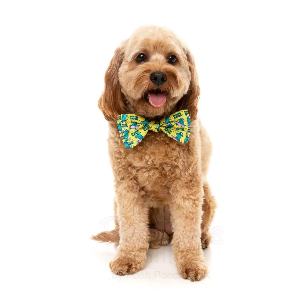 Sk8ter Gator Bow Tie by Fuzzyard - Fuzzyard - 2