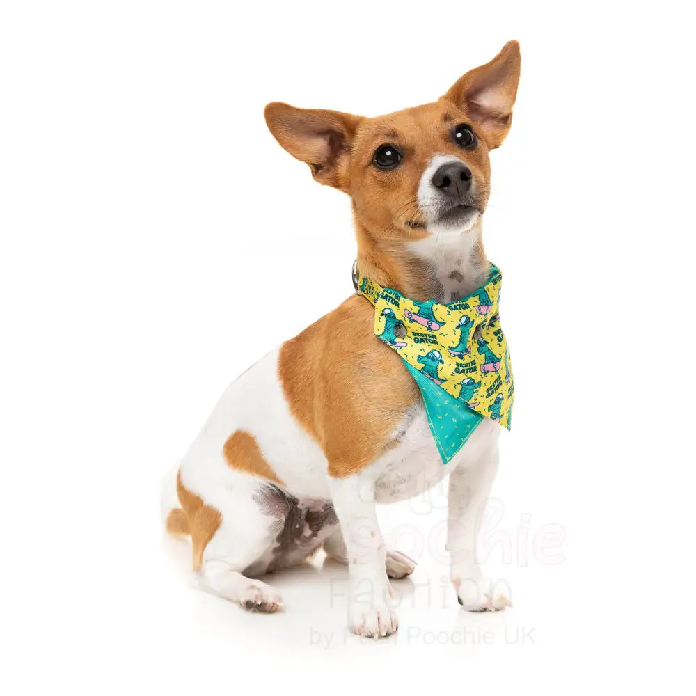 Sk8ter Gator Dog Bandana by Fuzzyard - Fuzzyard - 3
