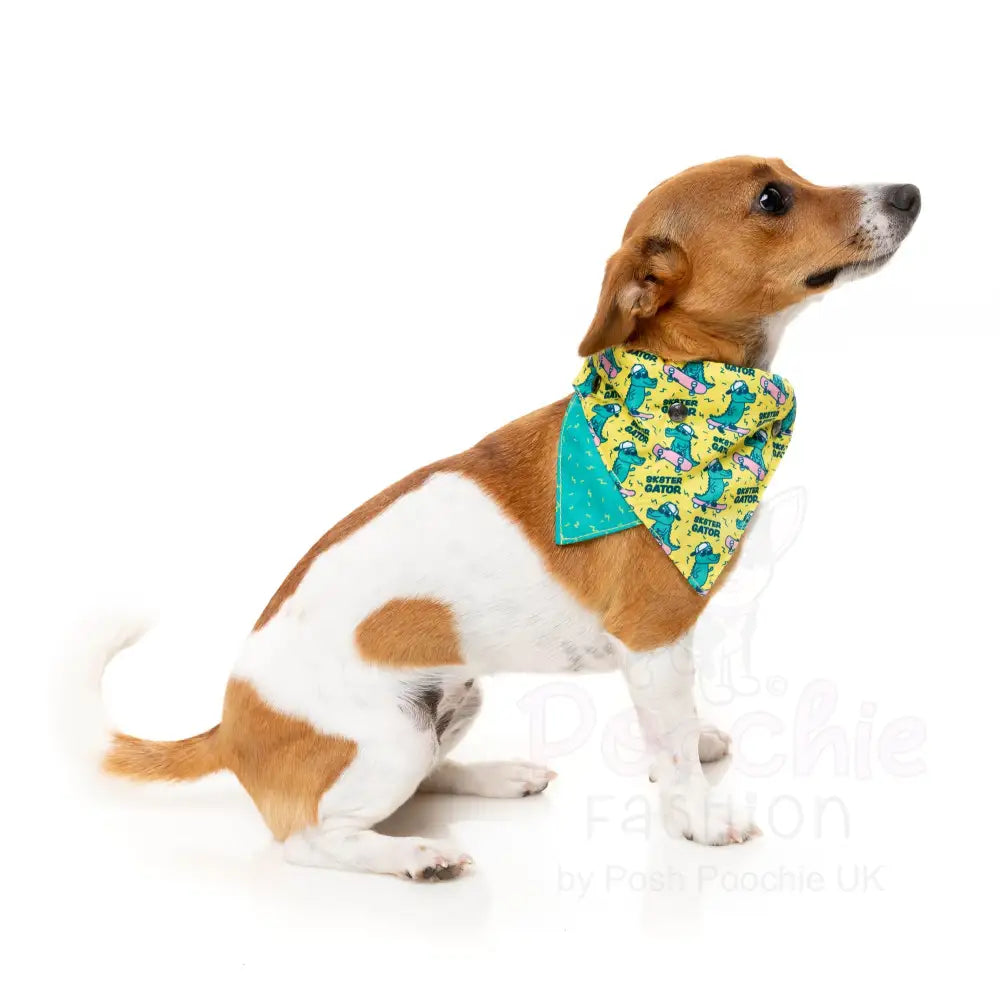 Sk8ter Gator Dog Bandana by Fuzzyard - Fuzzyard - 4