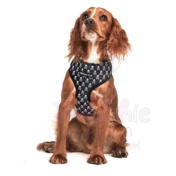 Skull dog deals harness