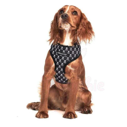 Skull and Crossbones Designer Dog Harness - Urban Pup - 2