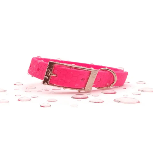 Slim Hexa Biothane Dog Collar in Hot Neon Pink - Poochie Fashion - 1