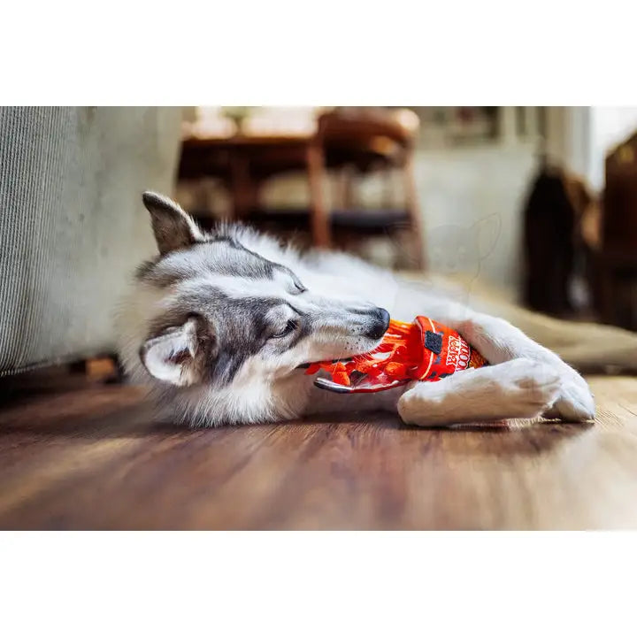 Slurp it Up Noodles Dog Toy by P.l.a.y - P.l.a.y - 4